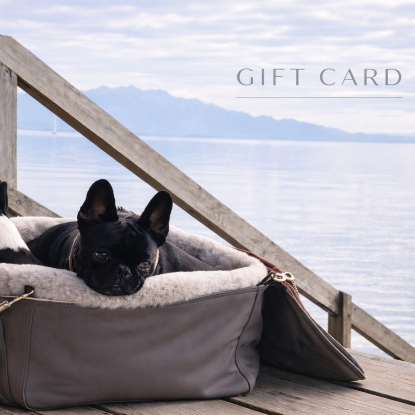 Gift voucher for a Chayas
