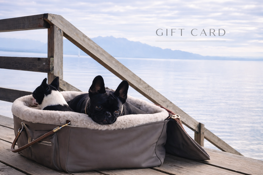 Gift voucher for a Chayas