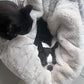 Dog bed Hideaway Cave Ornament
