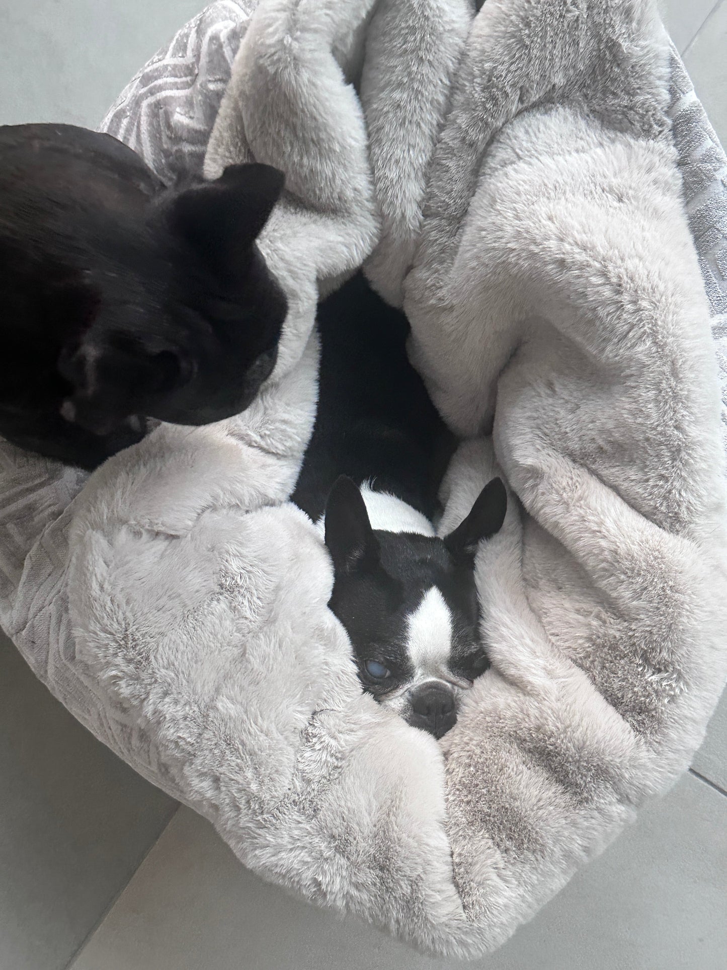 Dog bed Hideaway Cave Ornament