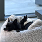 Dog bed Hideaway Cave Ornament