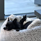 Adorno para cueva de cama para perros Hideaway
