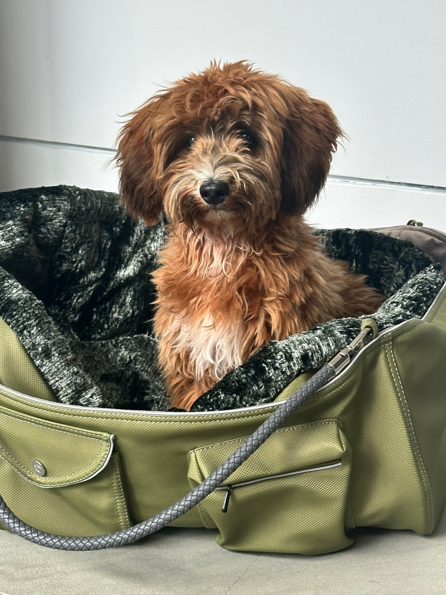 Bolsa de transporte para perros Weekender 4Seasons, verde musgo, M