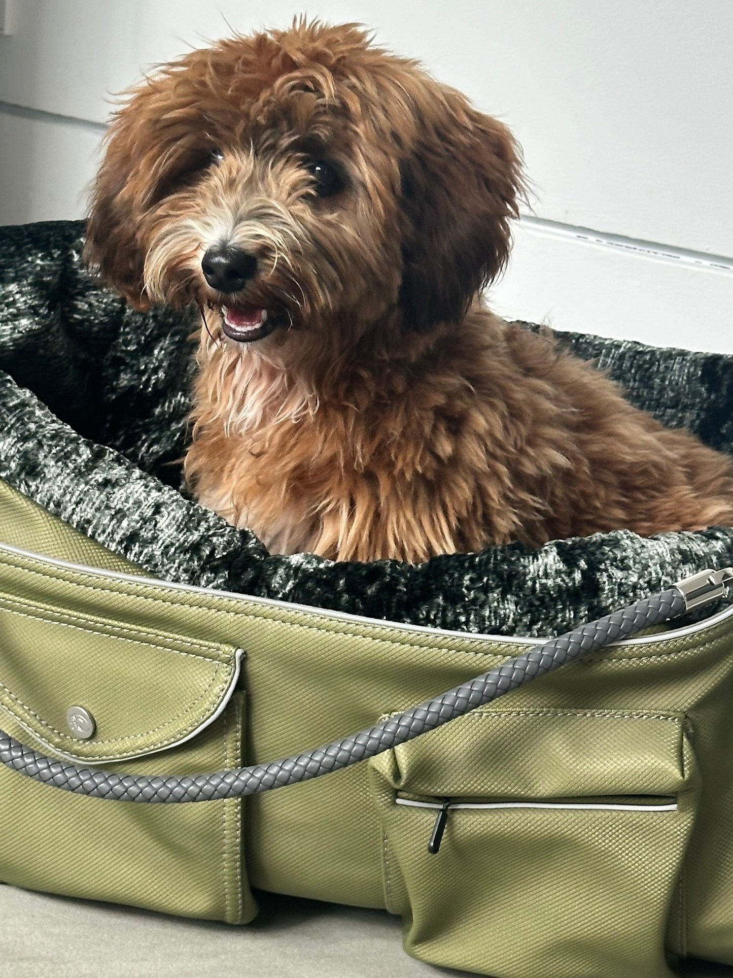 Bolsa de transporte para perros Weekender 4Seasons, verde musgo, M