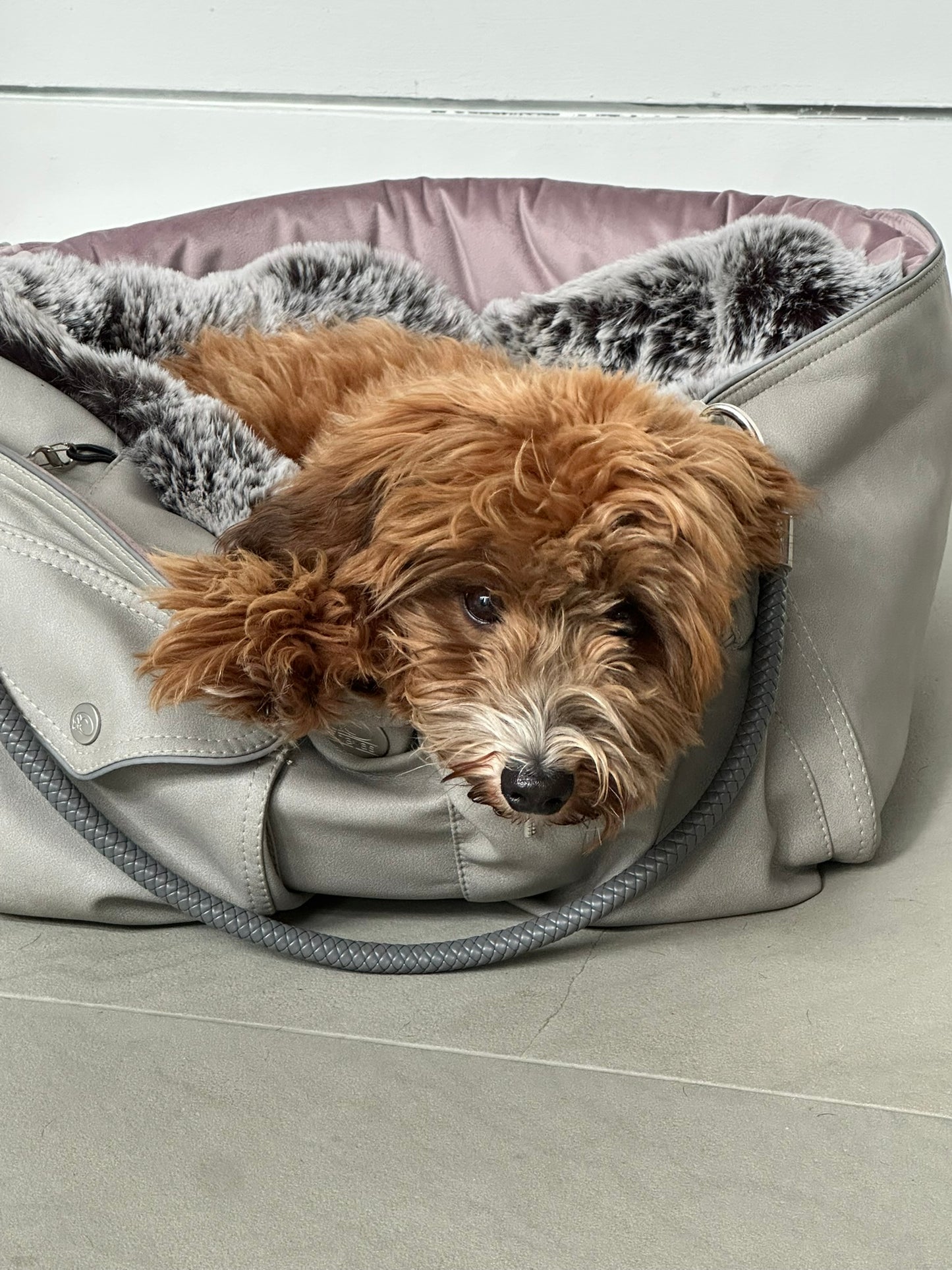 Hundetasche Weekender platingrey-dusty rose, salt & pepper Inlay