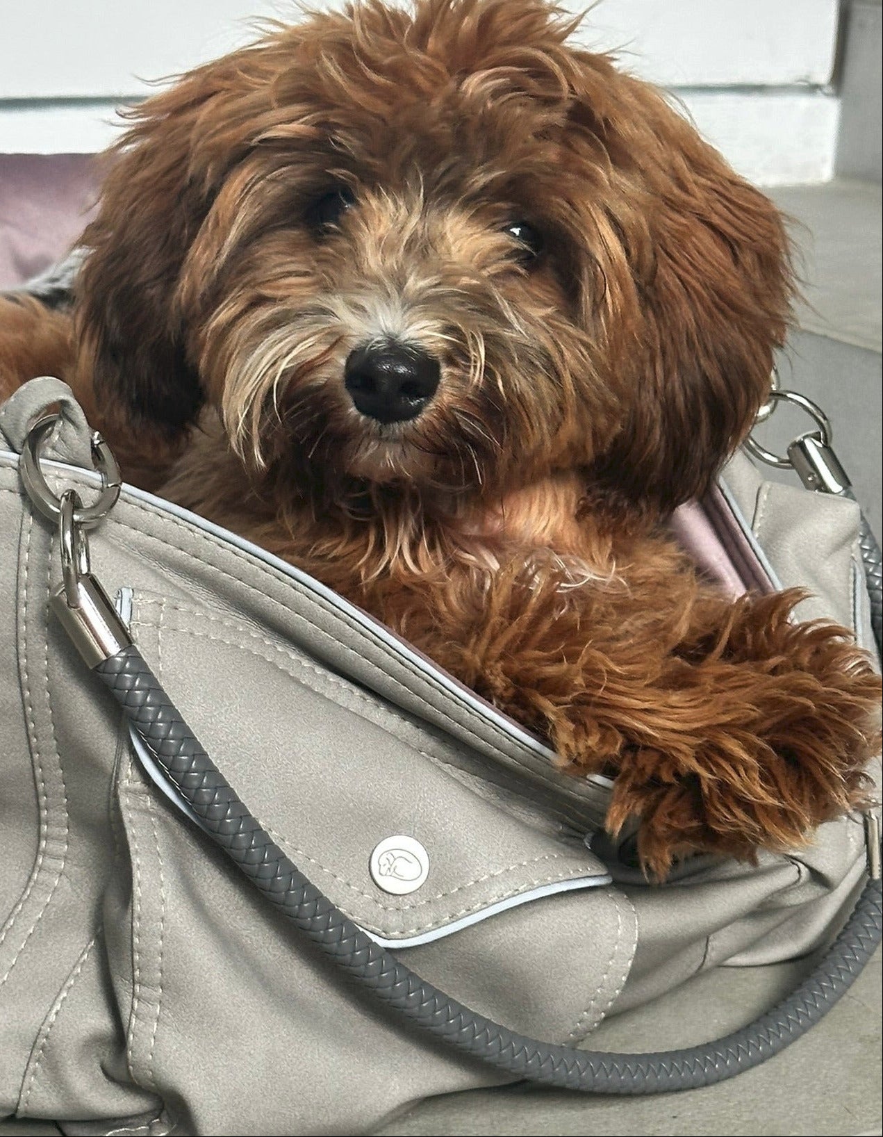 Hundetasche Weekender platingrey-dusty rose, salt & pepper Inlay