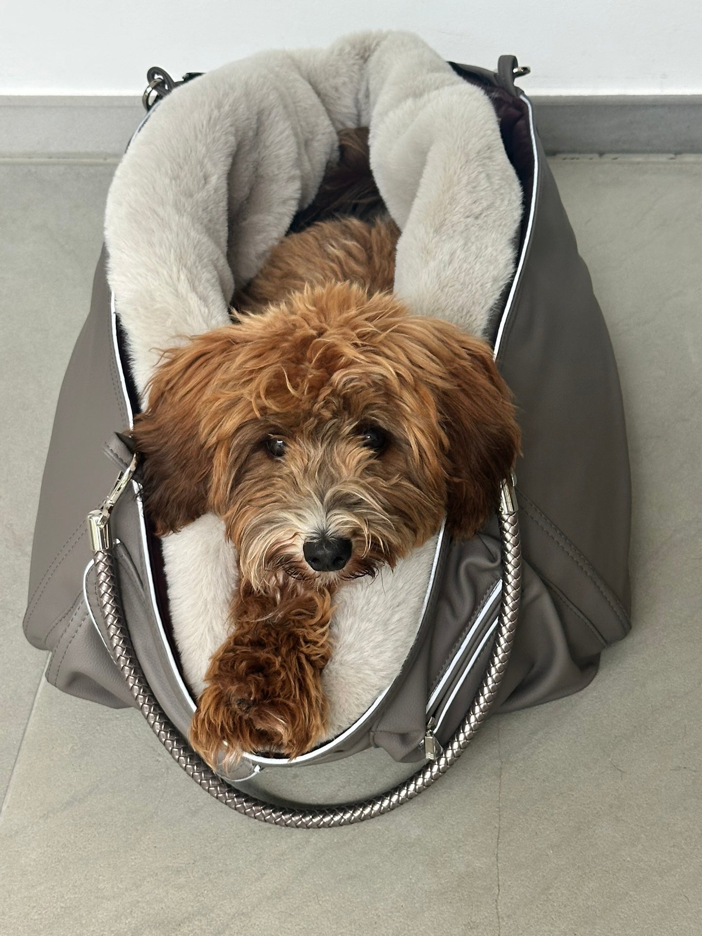 Hundetasche Weekender taupe-wildberry, silverstone Inlay