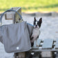 Weekender - platin grey, iceblue