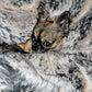 Dog bed Hideaway Cave Ornament