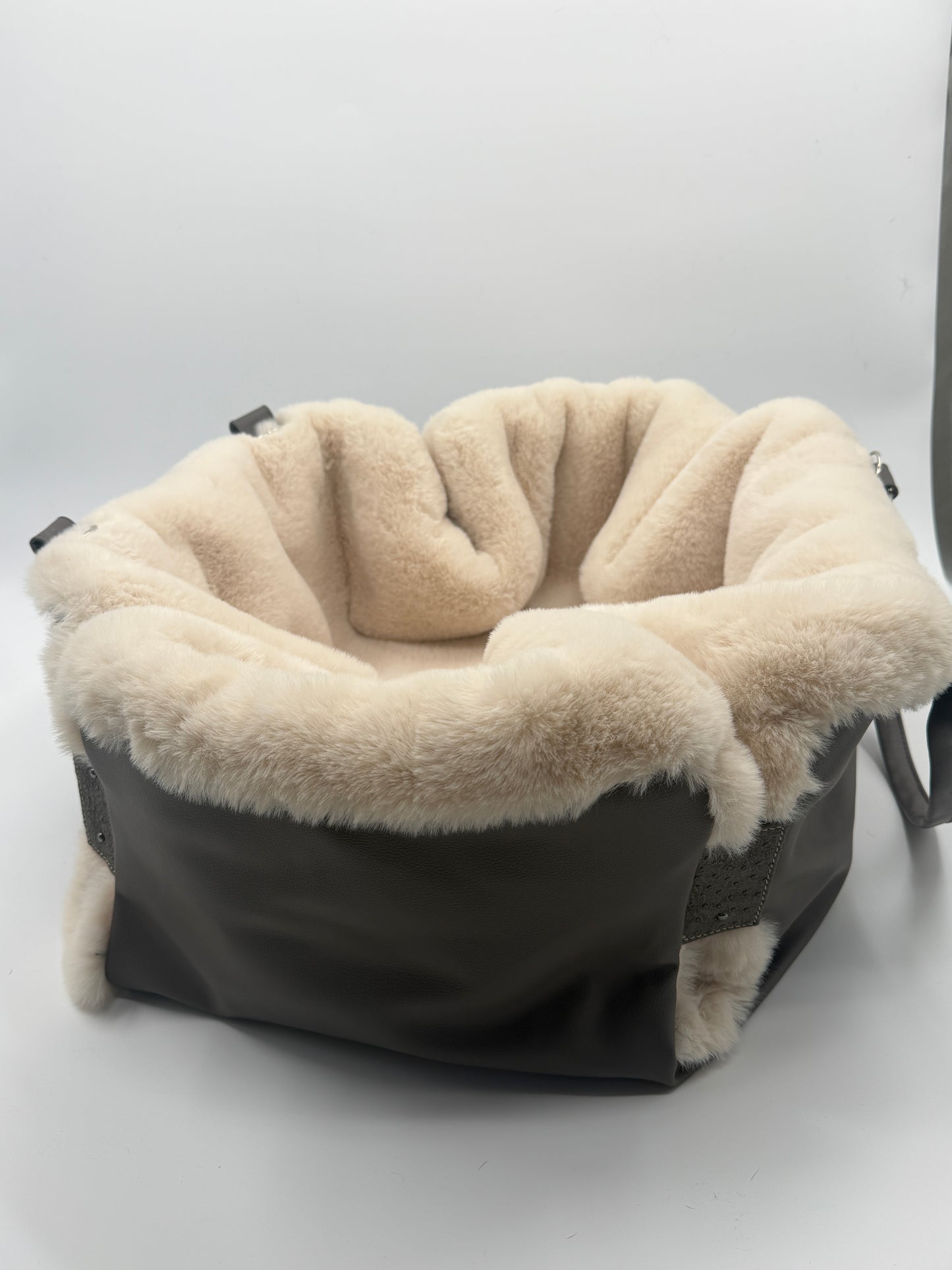 No Limits — dog carrier