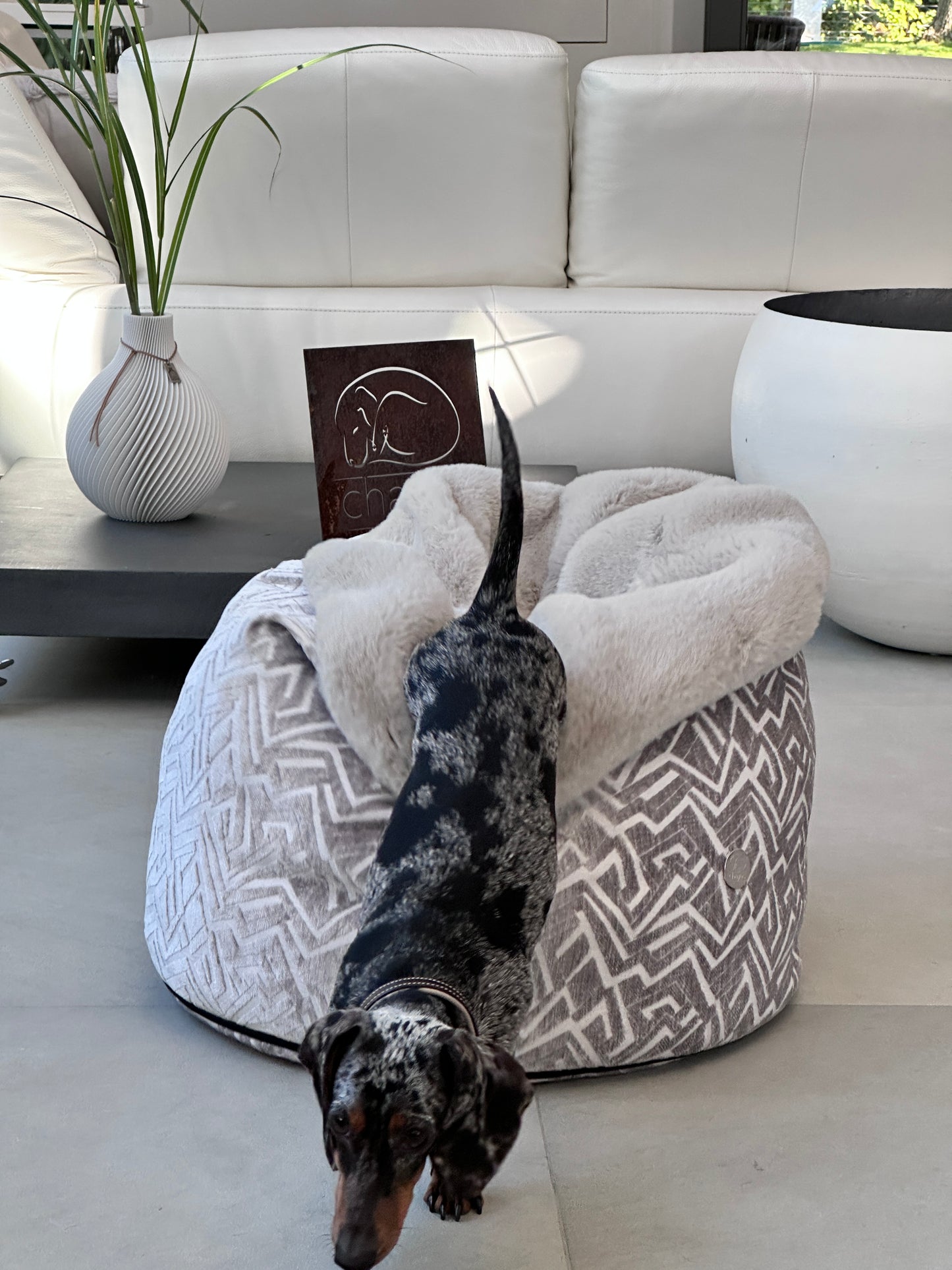 Dog bed Hideaway Cave Ornament